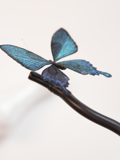 【条码价:257】幻蝶250700015